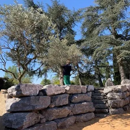 / D'hote Des Cedres 招待所